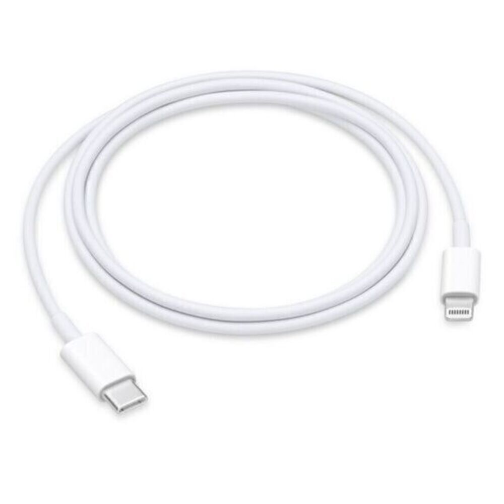 Apple iPhone charger
